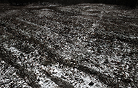 Landscapes Series